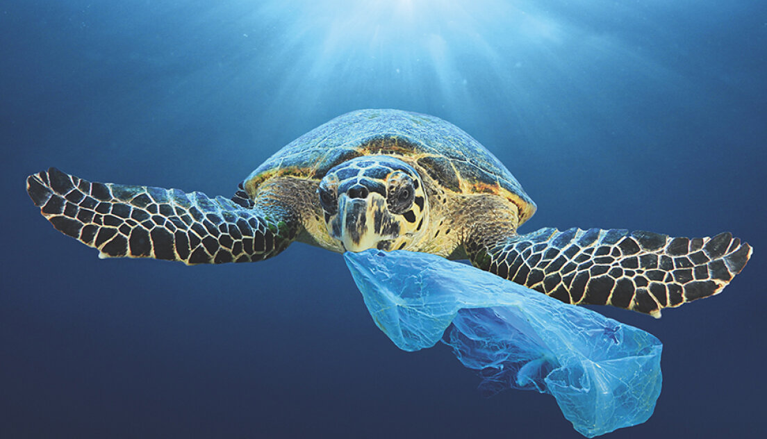 Eine Meeresschildkröte schwimmt mit einem Stück blauem Plastik im Maul unter Wasser und macht damit auf die Meeresverschmutzung aufmerksam. Sonnenlicht fällt von oben durch das Wasser.